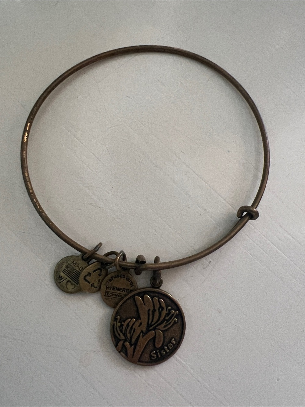 Alex and Ani Bronze-Tone 'Sister' Charm Bangle